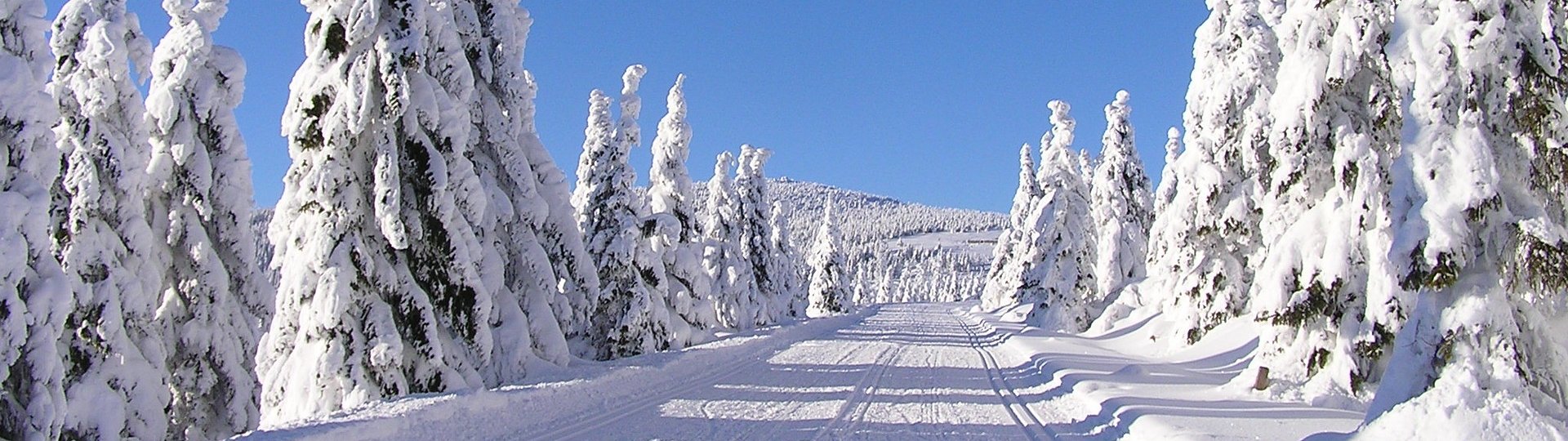 Zima - Krkonoše